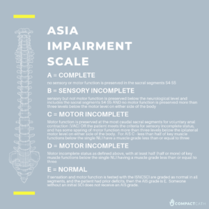 asia impairment scale