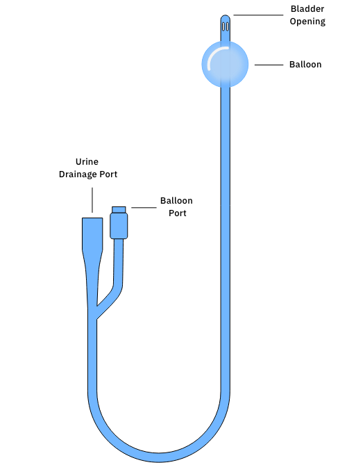 Urinary Catheter Types and Sizes CompactCath