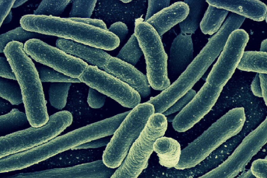 CAUTI Prevention 101 for Catheter Users CompactCath